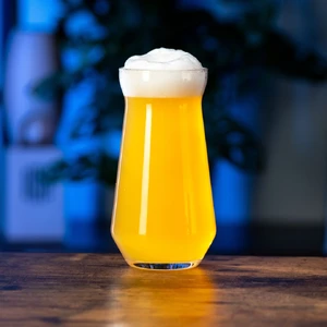 IPA — ranked #4