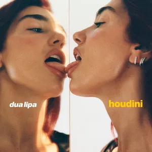Houdini — ranked #11