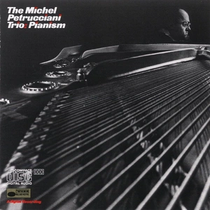 Michel Petrucciani - Pianism — ranked #6