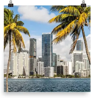 Miami — ranked #12