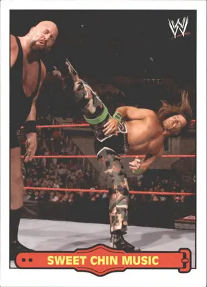 Sweet Chin Music — ranked #9
