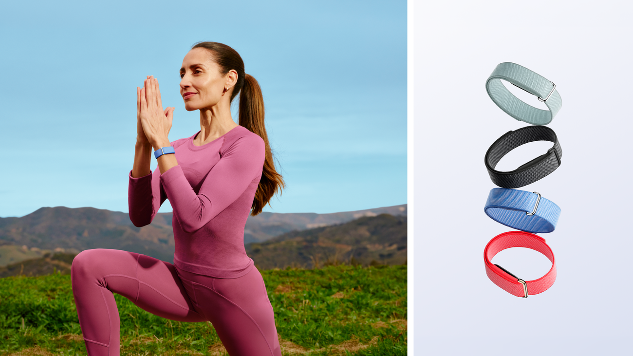 Fitbit Air - ranking option ranked #14