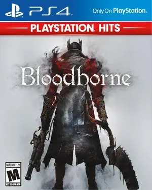 Bloodborne — ranked #5