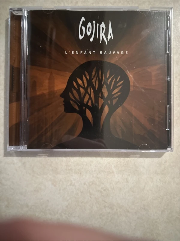 L'Enfant Sauvage - ranking option ranked #3