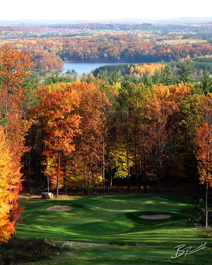 Timberstone — ranked #17