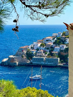 Hydra — ranked #13