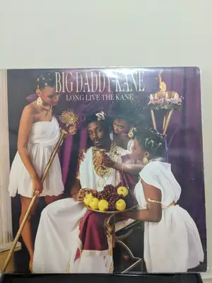 Big Daddy Kane – Long Live the Kane — ranked #9