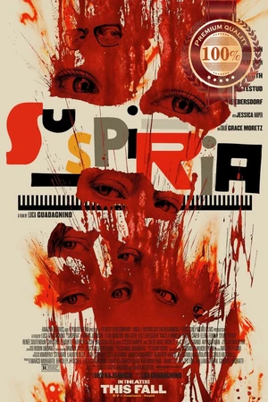 Suspiria (2018) — ranked #10