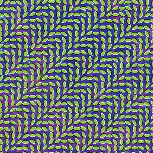 Merriweather Post Pavilion — ranked #11