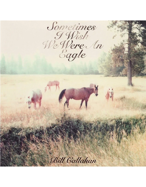 Sometimes I Wish We Were an Eagle - ranking option ranked #16