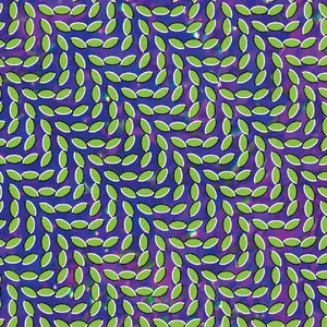 Merriweather Post Pavilion — ranked #5