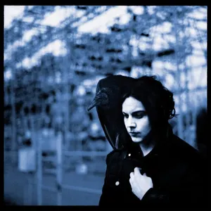 Blunderbuss — ranked #1