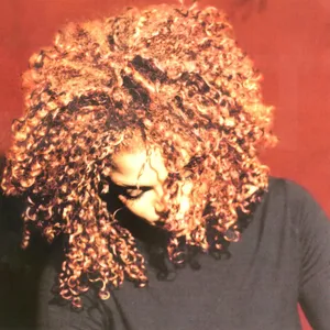 The Velvet Rope — ranked #4