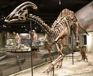 Parasaurolophus — ranked #8
