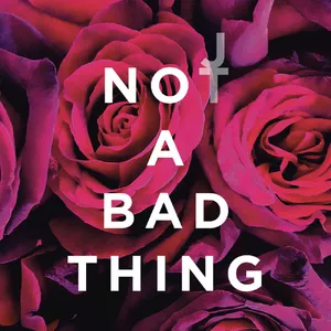 Not a Bad Thing — ranked #8