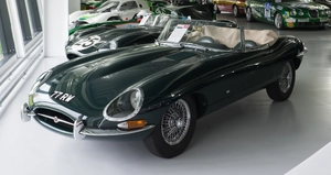 Jaguar — ranked #12