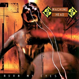 Burn My Eyes — ranked #14