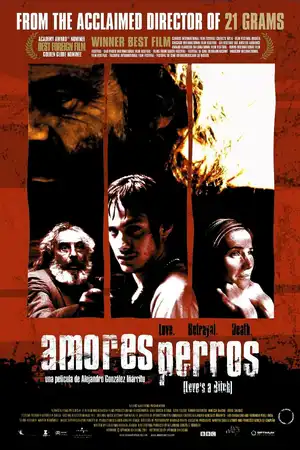 Amores Perros — ranked #4