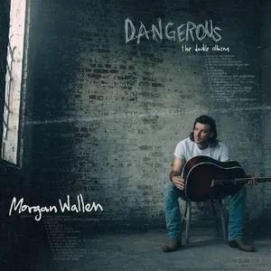 Dangerous: The Double Album — ranked #1