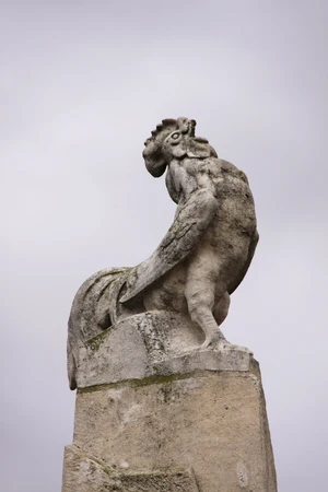 Gallic Rooster — ranked #8