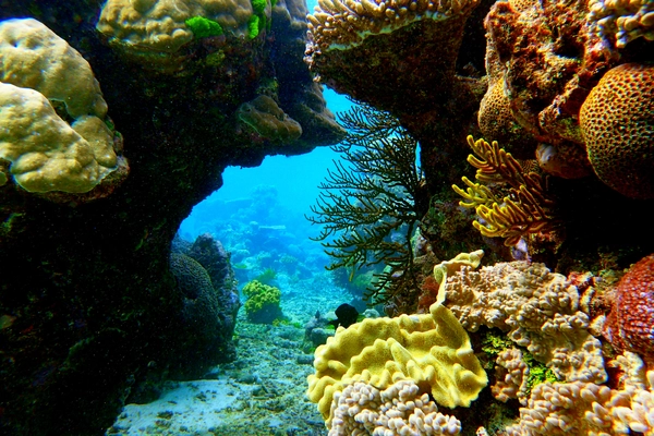 Great Barrier Reef - ranking option ranked #2