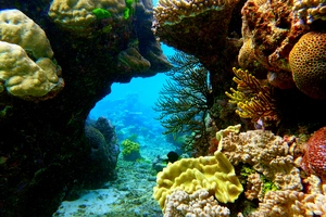 Great Barrier Reef — ranked #2