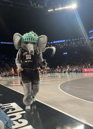 New York Liberty — ranked #7