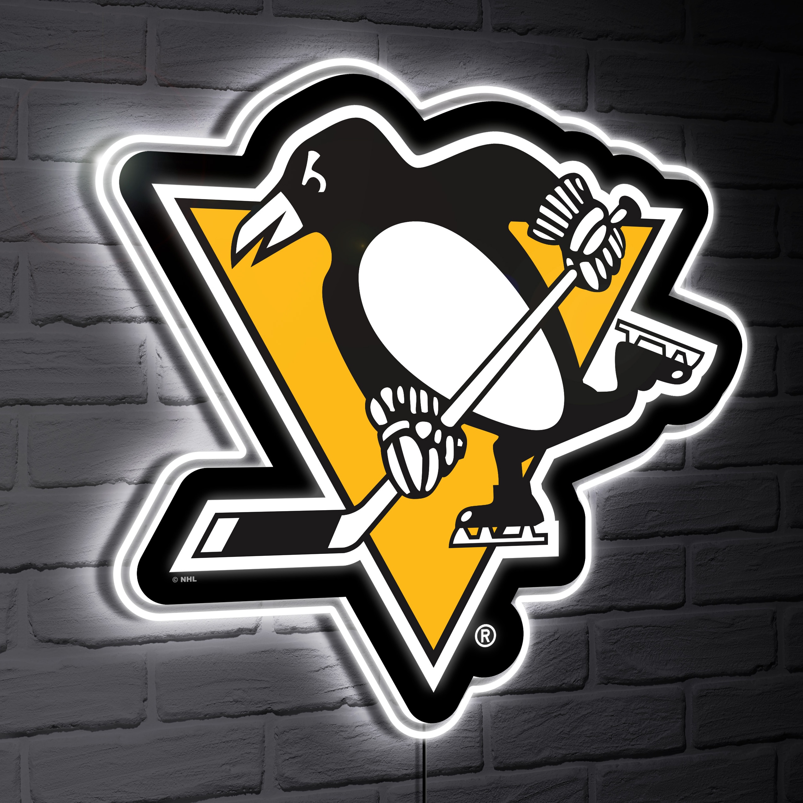 Pittsburgh Penguins - ranking option ranked #5