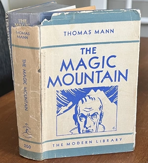 The Magic Mountain — ranked #8