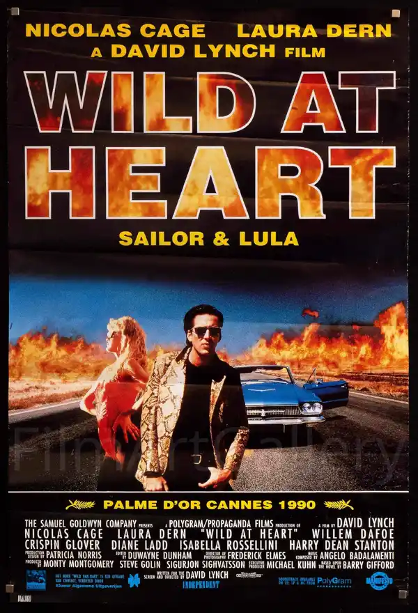 Wild at Heart - ranking option ranked #15