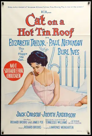 Cat on a Hot Tin Roof — ranked #5
