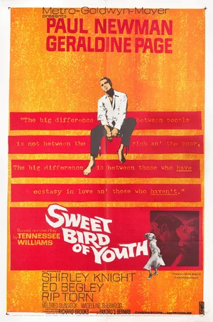 Sweet Bird of Youth — ranked #8