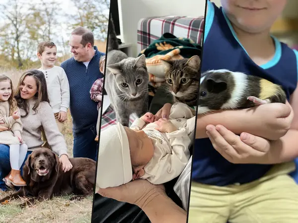 What is the best pet for a family with young children?