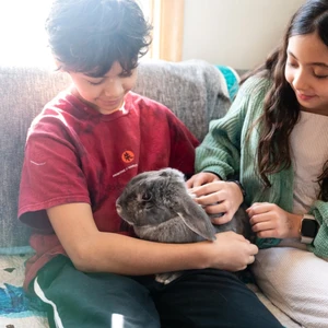 Rabbit — ranked #4