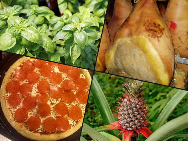 What is the best pizza topping?