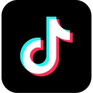 TikTok — ranked #3