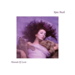 Hounds of Love — ranked #19