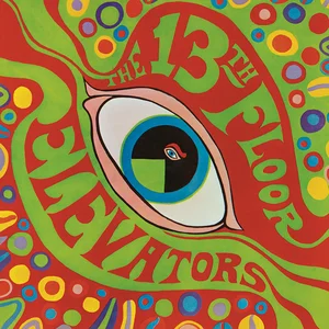 The Psychedelic Sounds of the 13th Floor Elevators — ranked #9