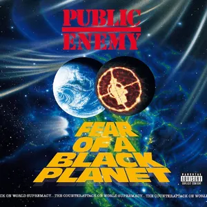 Fear of a Black Planet — ranked #3