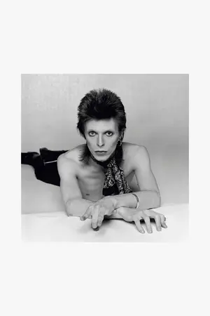 Diamond Dogs — ranked #14