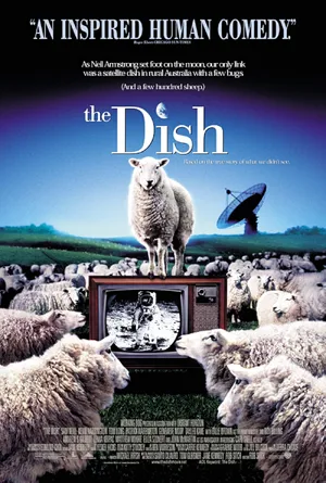 The Dish — ranked #6