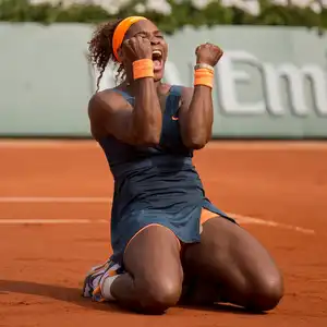 2013 French Open — ranked #4