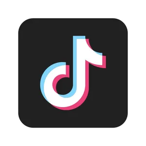 TikTok — ranked #1
