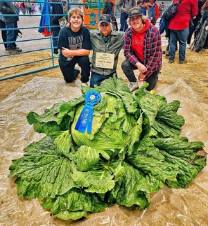 Alaska State Fair — ranked #12