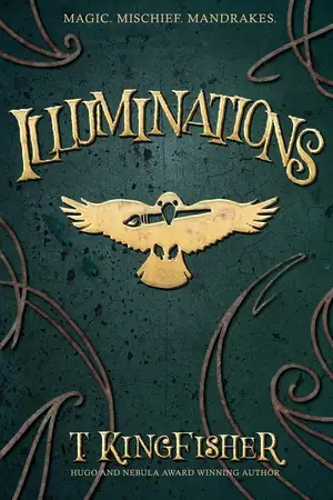 Illuminations — ranked #7