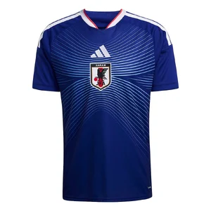 Japan — ranked #14