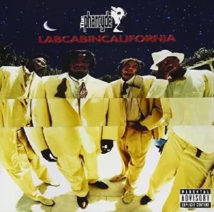 Labcabincalifornia — ranked #2