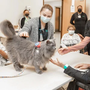Cat — ranked #2