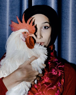 Chicken — ranked #8
