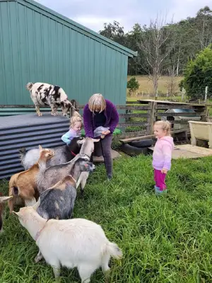 Goat — ranked #11